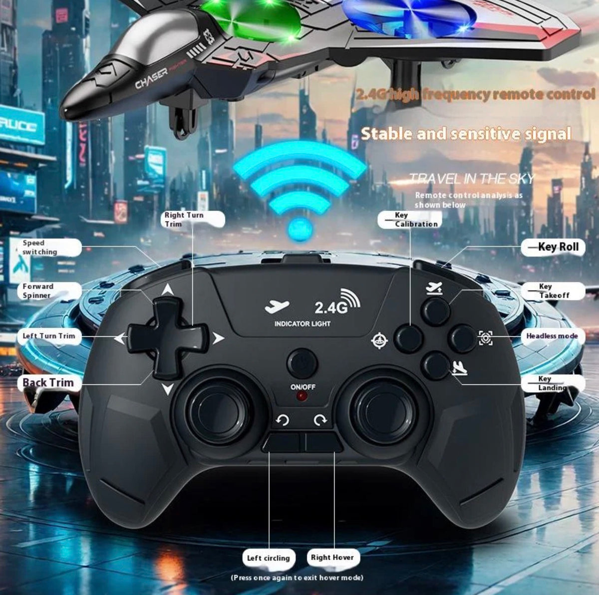 2.4GHz EVA RC Fighter Jet Plane